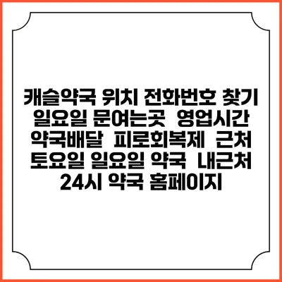 캐슬약국 위치 전화번호 찾기 | 일요일 문여는곳 | 영업시간 | 약국배달 | 피로회복제 | 근처 토요일 일요일 약국 | 내근처 24시 약국 홈페이지
