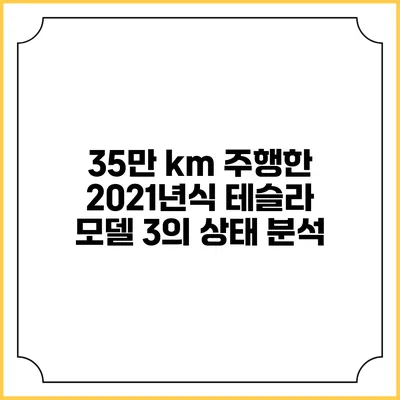 35만 km 주행한 2021년식 테슬라 모델 3의 상태 분석