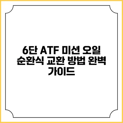 6단 ATF 미션 오일 순환식 교환 방법 완벽 가이드