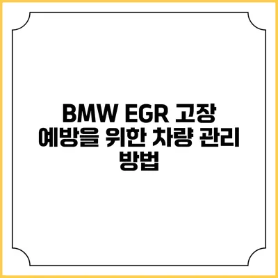 BMW EGR 고장 예방을 위한 차량 관리 방법