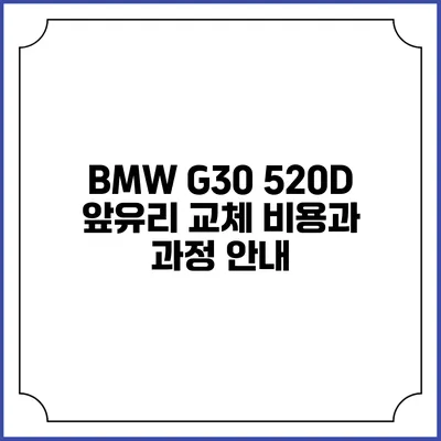 BMW G30 520D 앞유리 교체 비용과 과정 안내
