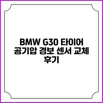 BMW G30 타이어 공기압 경보 센서 교체 후기