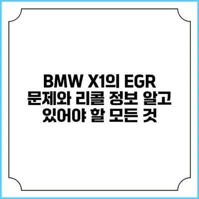 BMW X1의 EGR 문제와 리콜 정보: 알고 있어야 할 모든 것