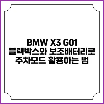 BMW X3 G01 블랙박스와 보조배터리로 주차모드 활용하는 법
