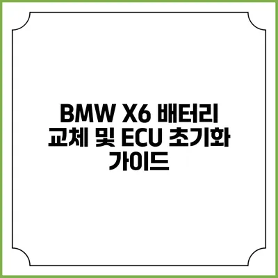 BMW X6 배터리 교체 및 ECU 초기화 가이드