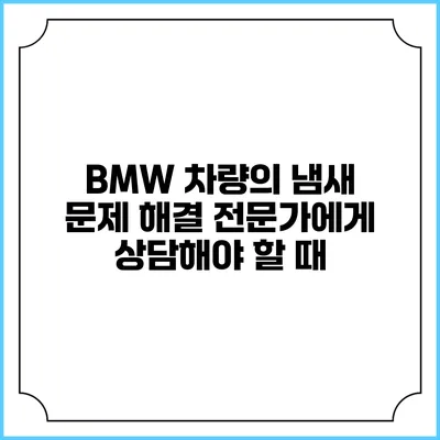 BMW 차량의 냄새 문제 해결: 전문가에게 상담해야 할 때