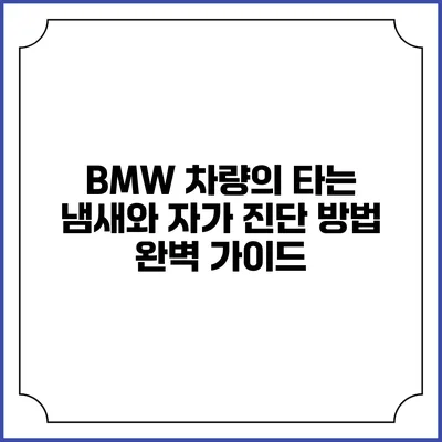 BMW 차량의 타는 냄새와 자가 진단 방법 완벽 가이드
