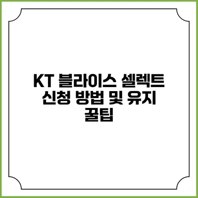KT 블라이스 셀렉트 신청 방법 및 유지 꿀팁