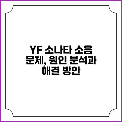 YF 소나타 소음 문제, 원인 분석과 해결 방안