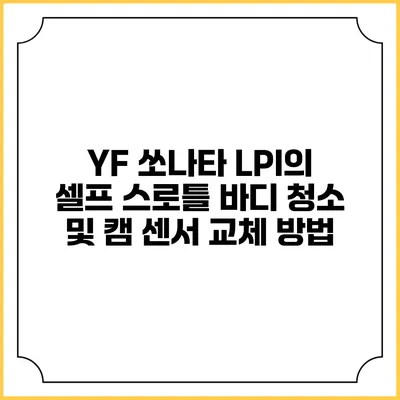 YF 쏘나타 LPI의 셀프 스로틀 바디 청소 및 캠 센서 교체 방법
