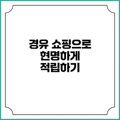 경유 쇼핑으로 현명하게 적립하기