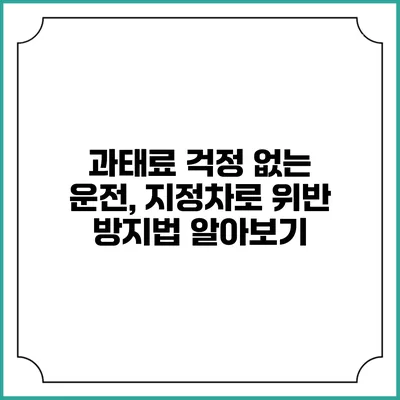 과태료 걱정 없는 운전, 지정차로 위반 방지법 알아보기