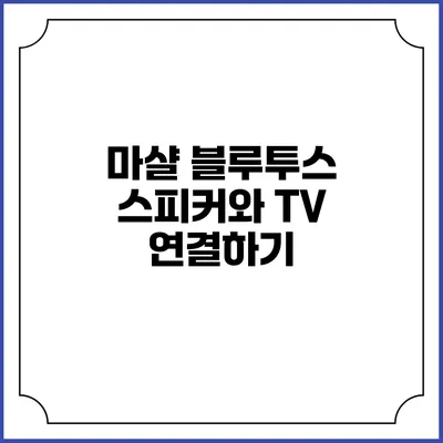 마샬 블루투스 스피커와 TV 연결하기