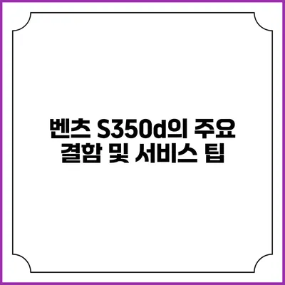 벤츠 S350d의 주요 결함 및 서비스 팁