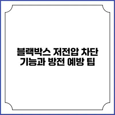 블랙박스 저전압 차단 기능과 방전 예방 팁