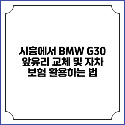 시흥에서 BMW G30 앞유리 교체 및 자차 보험 활용하는 법