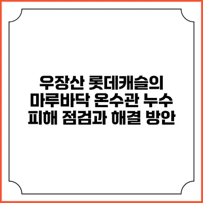 우장산 롯데캐슬의 마루바닥 온수관 누수 피해 점검과 해결 방안