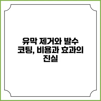 유막 제거와 발수 코팅, 비용과 효과의 진실