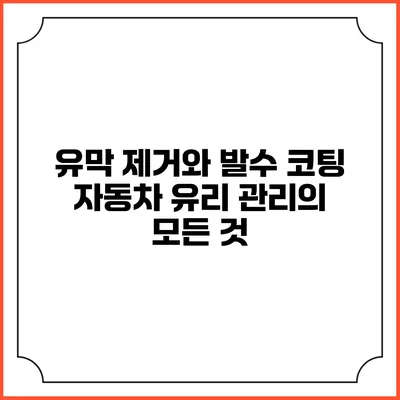 유막 제거와 발수 코팅: 자동차 유리 관리의 모든 것