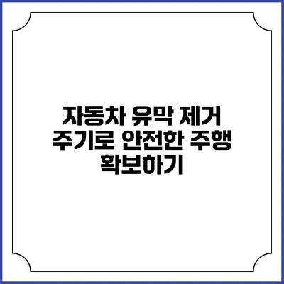 자동차 유막 제거 주기로 안전한 주행 확보하기