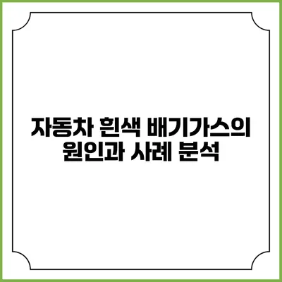 자동차 흰색 배기가스의 원인과 사례 분석