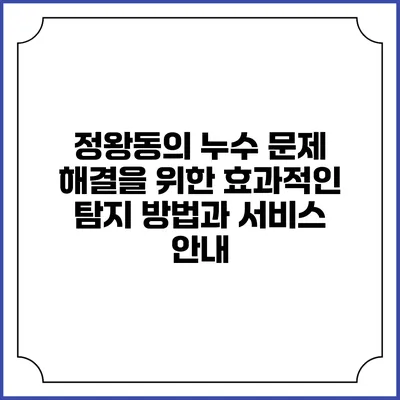 정왕동의 누수 문제 해결을 위한 효과적인 탐지 방법과 서비스 안내