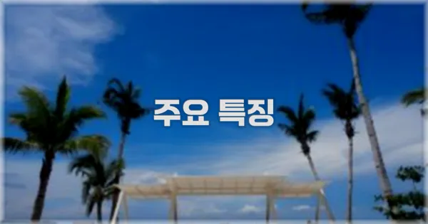 ✨ 주요 특징