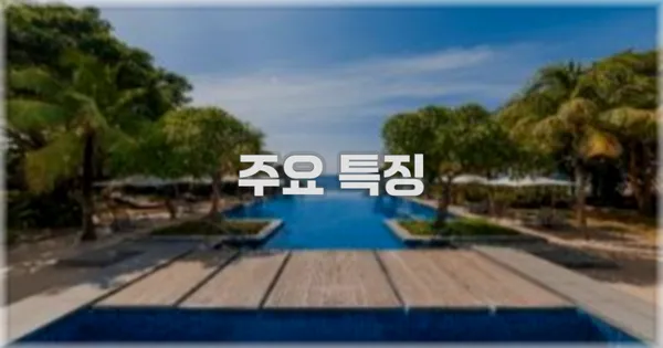 ✨ 주요 특징