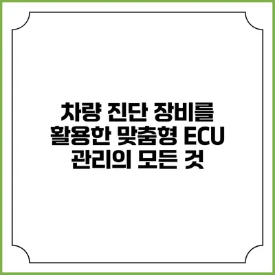 차량 진단 장비를 활용한 맞춤형 ECU 관리의 모든 것