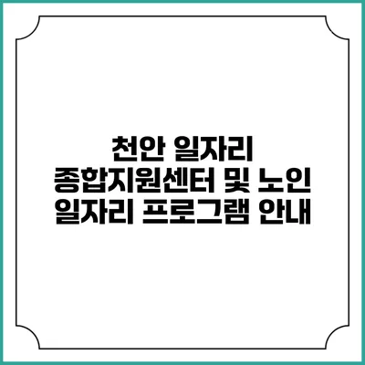 천안 일자리 종합지원센터 및 노인 일자리 프로그램 안내