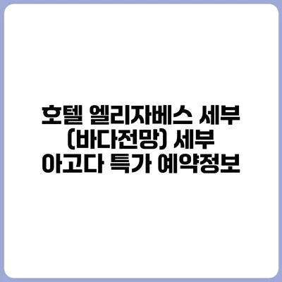 호텔 엘리자베스 세부 (바다전망) 세부 아고다 특가 예약정보