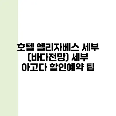 호텔 엘리자베스 세부 (바다전망) 세부 아고다 할인예약 팁